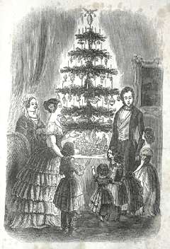 The History of Christmas Trees on whychristmas?com