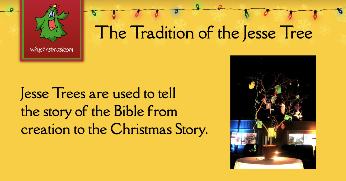 The Tradition of the Jesse Tree